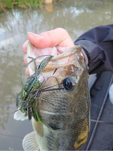 o0480064114183485625