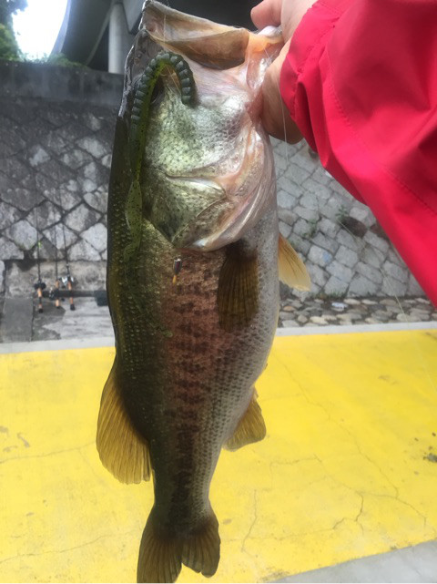 o0480064114184460711