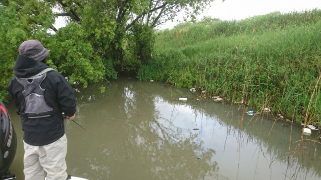 o0800044914181745892