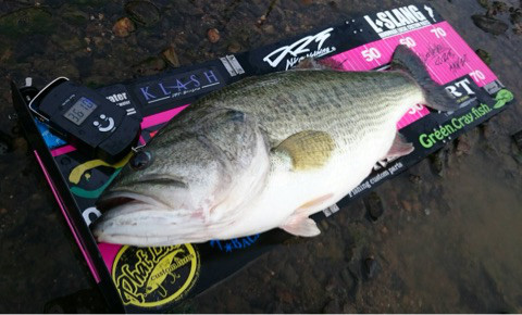 o0480029014213293573