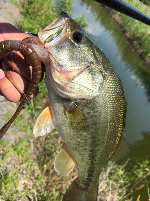 o0480064114204561107