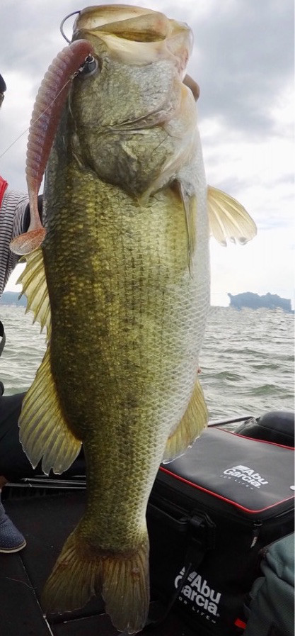 o0417089714237895925