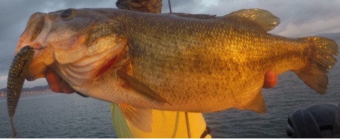 o0480019714237895916