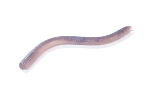 o0480029514224248843