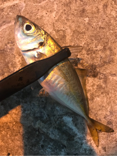 o0480064114219558682