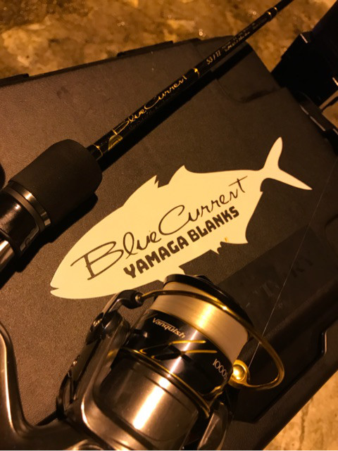 o0480064114219558718