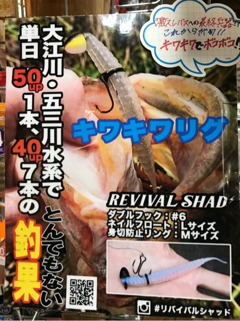 o0480064114223789305