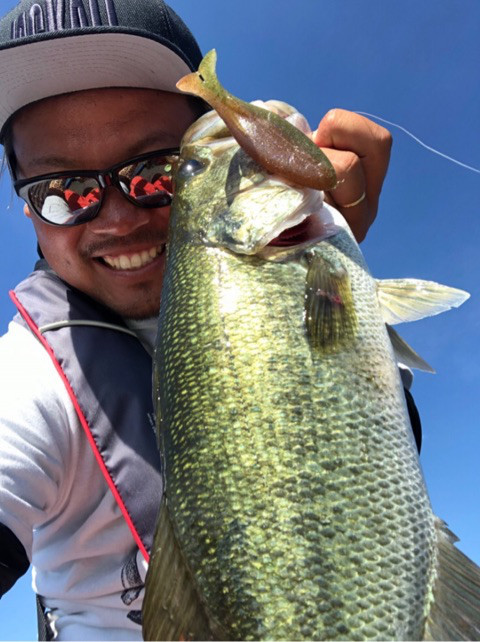 o0480064214233831520