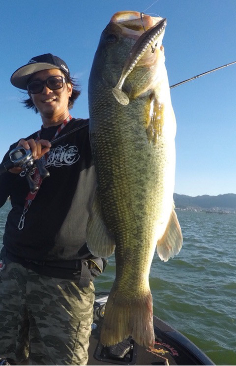 o0480074414237895866