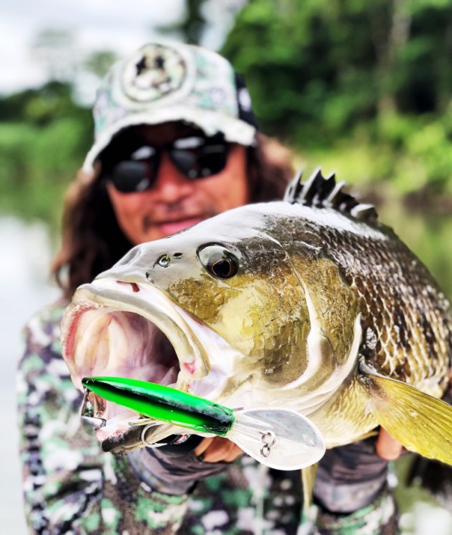 o2707320714235274288