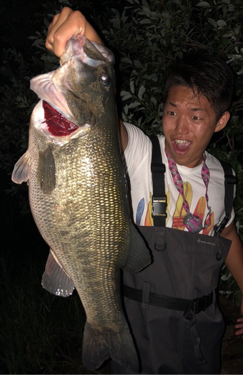 o0480074014255530205