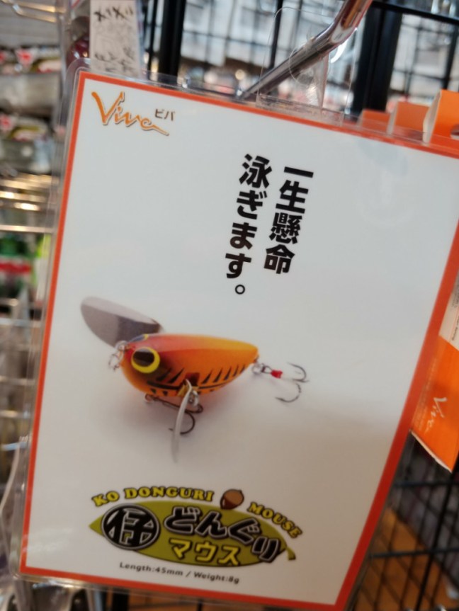 o0810108014253562959