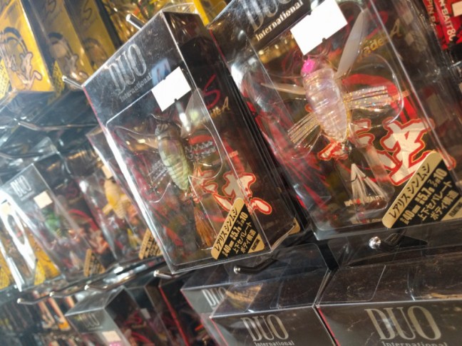 o1080081014243131291