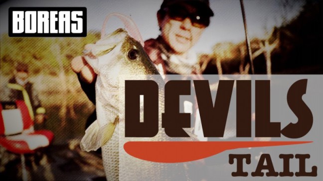 o1280072014251200438