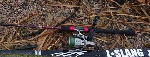 o0480018314261992524