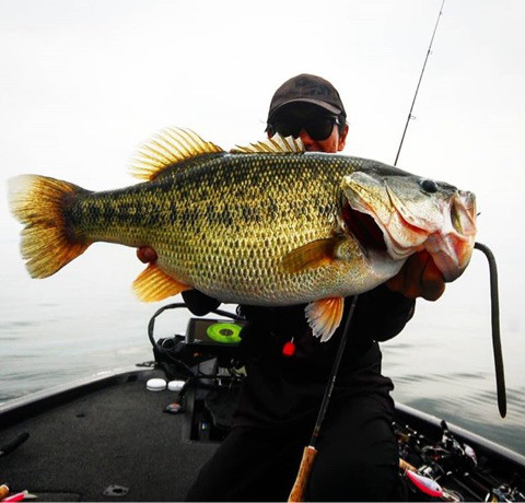 o0480046014268205502