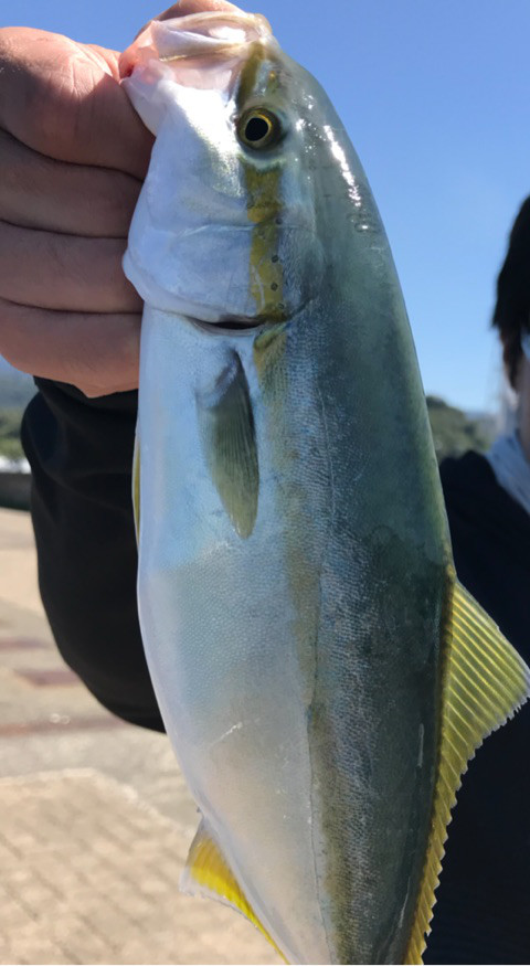 o0480087514269661689