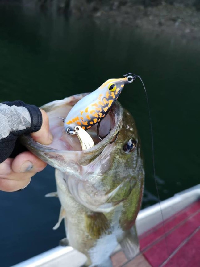 o0720096014259698681