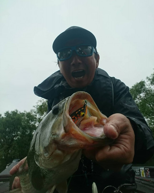 o1080135014259698353