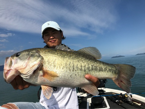 o0480036014277323585