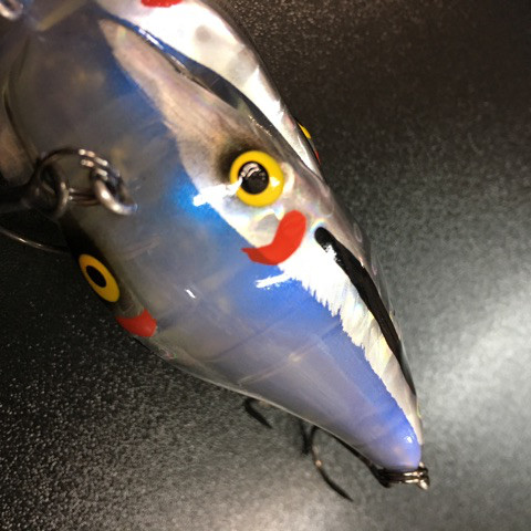 o0480048014293820188