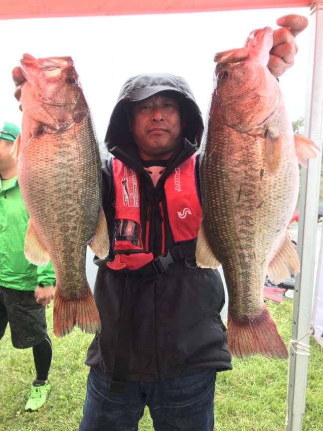 o0809108014282481226