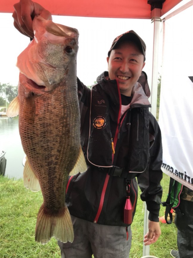 o0809108014282481250