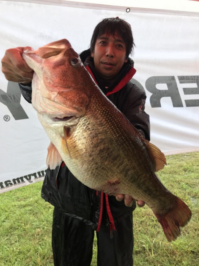 o0809108014282485502