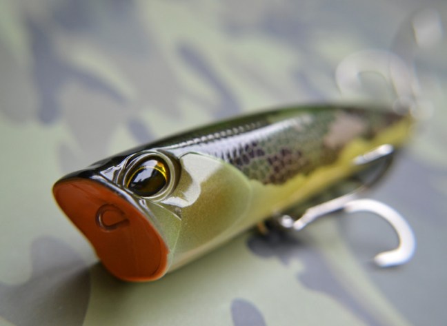 o2048149714288089634