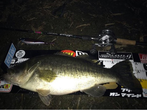 o0480035914309650864