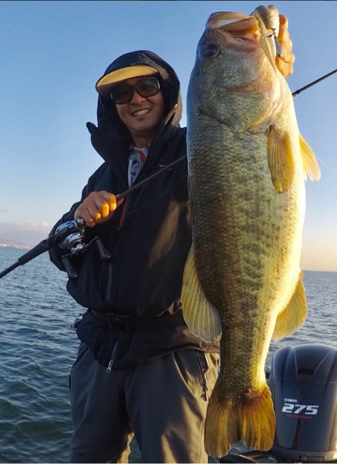 o0480066114295711473