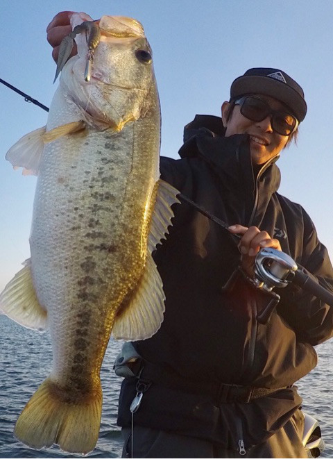 o0480066114295711482