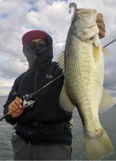 o0480066214295711496