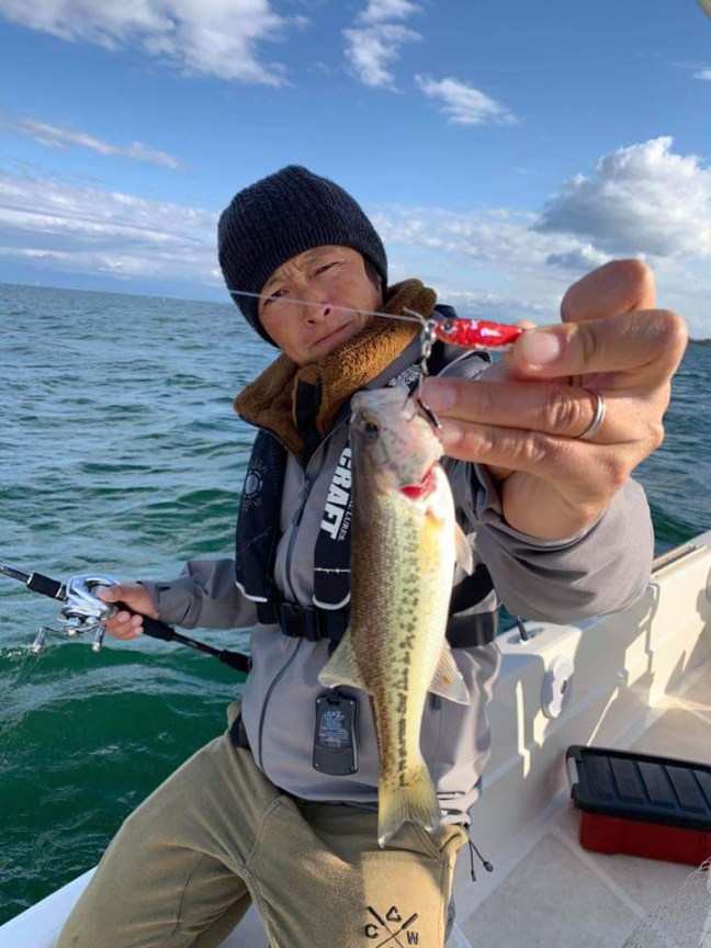 o0720096014299251529