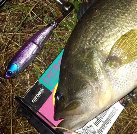 o0441043214320565175