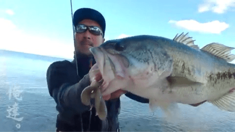 o0480027014326932918