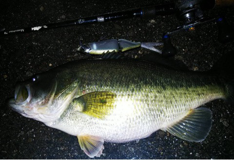 o0480032814322346632