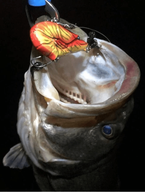 o0480063414321900107