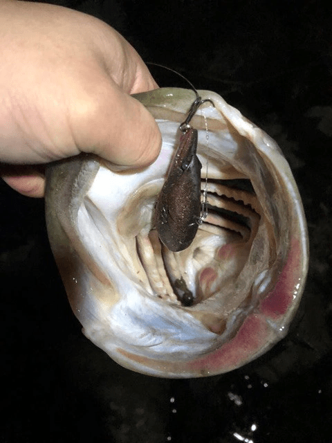 o0480064014321900076