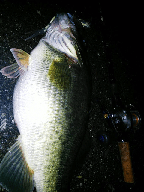 o0480064114322346635