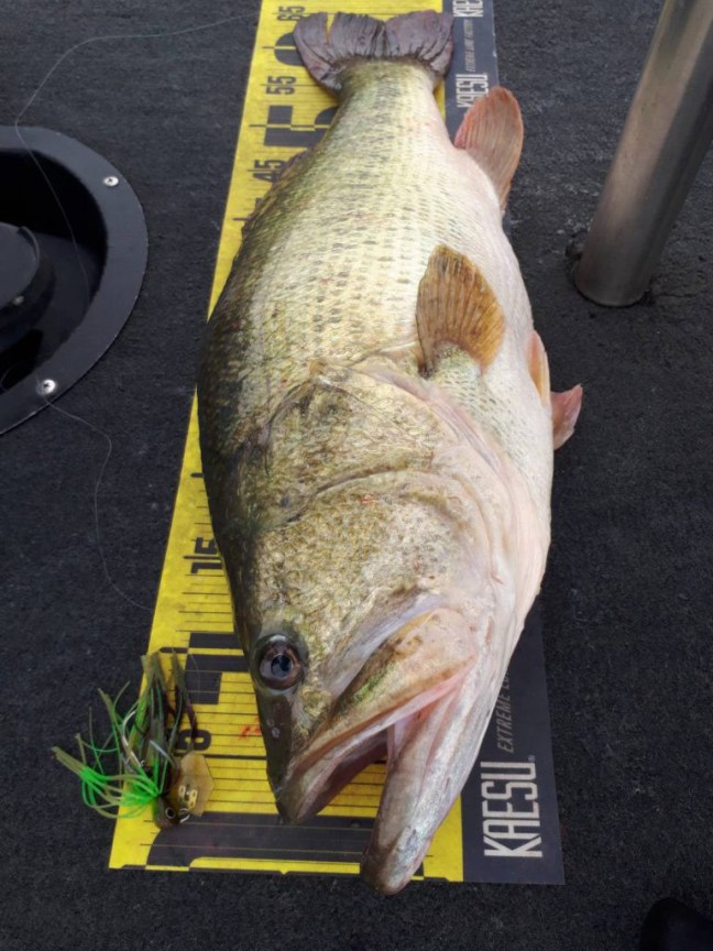 o0768102414314367742