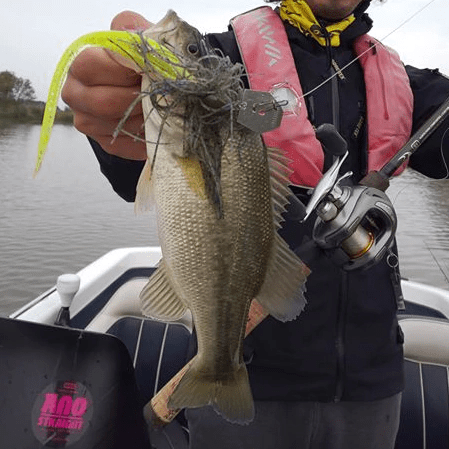 o0449044914344422303