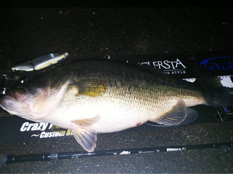 o0480036014333581309