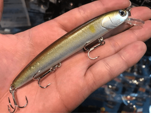 o0480036014342591729