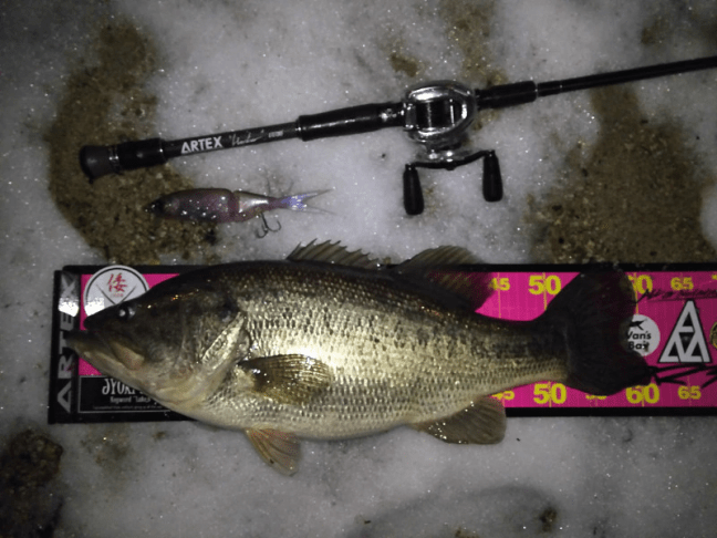 o4128309614336112789