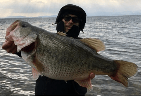 o0480032614356614159