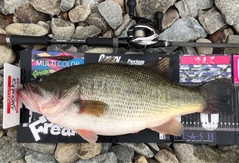 o0480032814356614161