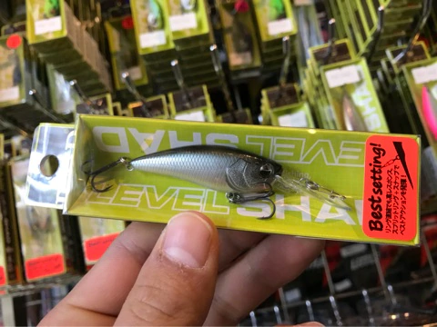 o0480036014348533906