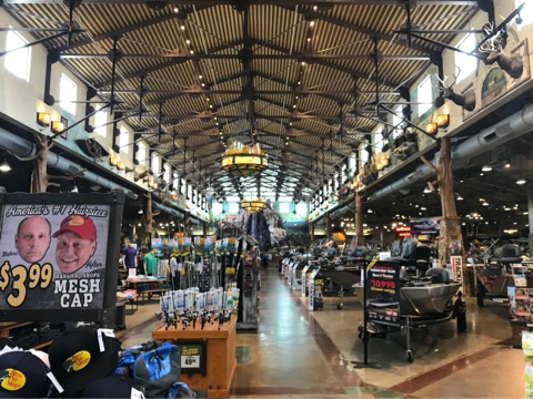 o0480036014352362708