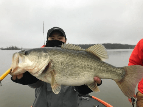 o0480036014353947579